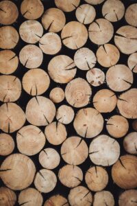 Papírenský a dřevařský průmysl je pro ochranu lesů stále důležitější